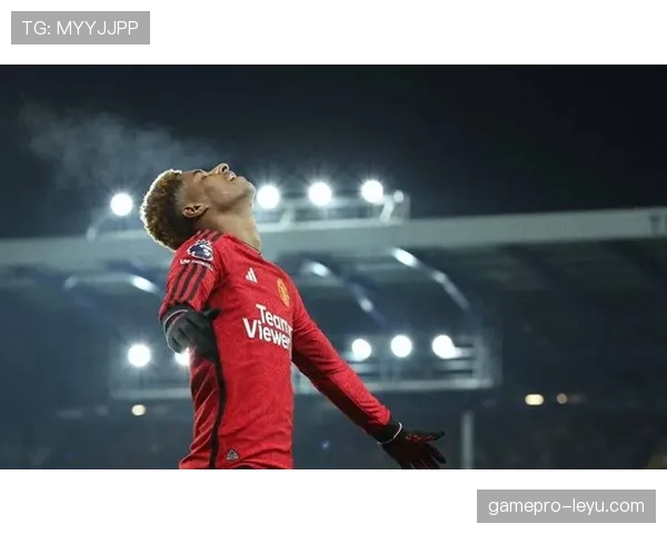 拉什福德职业生涯规划解析